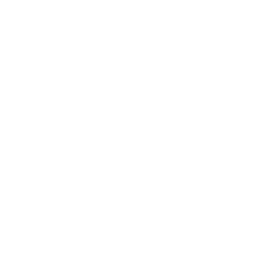 map-image-v2